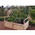 Outdoor Living Today - 6x3 Raised Cedar Garden Bed with Trellis Lid Kit